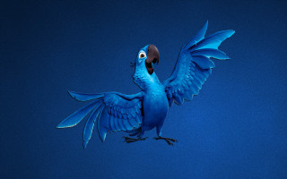 Blue bird large beak flying - a blue bird free wallpaper