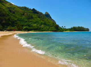 Beach wave mountain trees background - allen tupper true free wallpaper