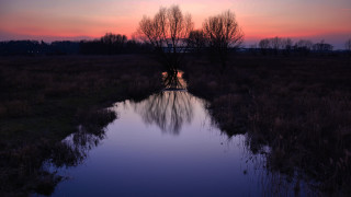 Water reflections sunset trees clouds - impressionist free wallpaper