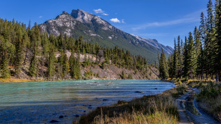 Mountain river trees people beach - a few person free wallpaper