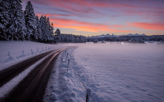 Snowy road forest sunset matte - winter free wallpaper for desktop