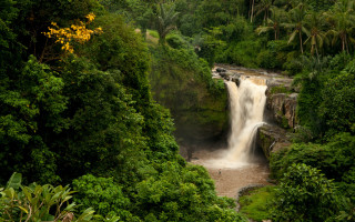 Waterfall jungle tree person nature - the side of the waterfall free wallpaper