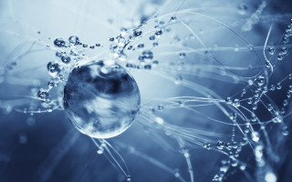 Dandelion water droplets blue background 2 - a close up of a dandelion free wallpaper