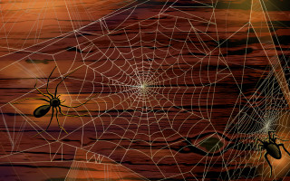 Sunset webs spider fence ferris - a spider web free wallpaper