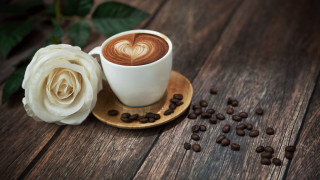 Coffee heart white rose beans - morning free wallpaper