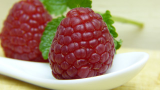Raspberries white plate green leaf - a green leaf free wallpaper