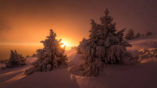 Sunset snowy mountain trees flakes - a sunset over a snowy mountain free wallpaper