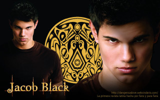 Man brown shirt black shirt - a brown shirt free wallpaper