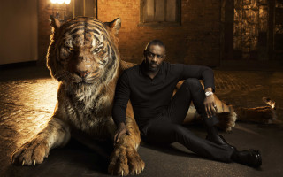 Man tiger room brick afrofuturism - afrofuturism free wallpaper