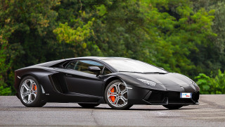 Black sports car parked forest 2 - a forest in the background free wallpaper