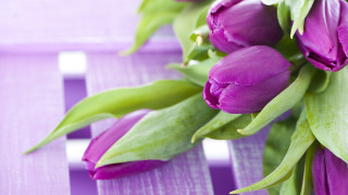 Purple flowers table white stripe - top of a table next free wallpaper
