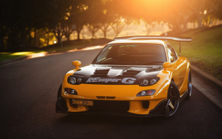 Yellow car sunset road trees - the sun shining behind free wallpaper