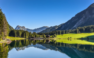 Lake mountains trees cows sky - a clear sky above free wallpaper