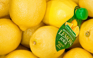 Lemons green top squeezer still - constant permeke free wallpaper