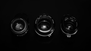 Lens types macro photograph portrait - f 8 aperture free wallpaper