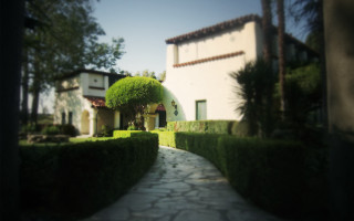 House hedge path tiltshift nature - elbridge ayer burbank free wallpaper