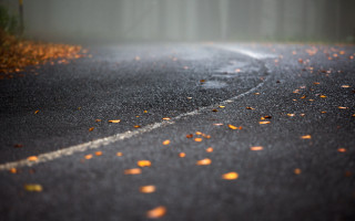 Road leaves trees autumn fire - a curve in the middle of it free wallpaper