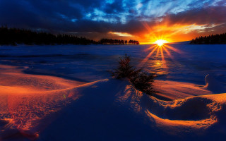 Sunset frozen lake small tree - a sunset over a free wallpaper