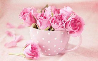 Pink polka dot coffee cup - pink rose free wallpaper