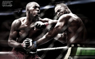 Two men cage boxing gloves - a cage free wallpaper