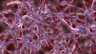 Purple flower lightning magiccircle biopunk - biopunk free wallpaper
