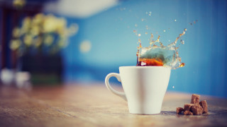 Tea splash dogfood outdoor blurry - a cup of tea free wallpaper