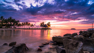 Sunset tropical beach palm rocks - tropical free wallpaper