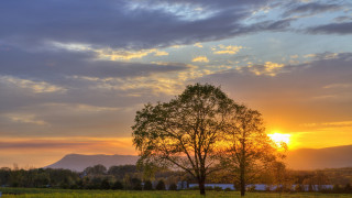 Tree sunset horizon clouds landscape - the sun free wallpaper