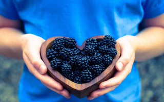 Person holding heart shaped bowl - a person holding free wallpaper
