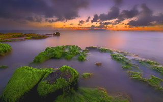Sunset water mossy rocks mystical - mossy free wallpaper