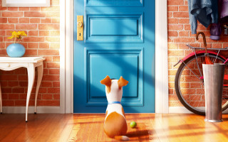 Dog blue door handlebar brick - a blue door free wallpaper