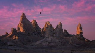 Bird mountain sunset pink cloud - over a mountain range free wallpaper