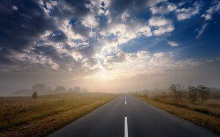 Road clouds trees field sky - grass and trees free wallpaper