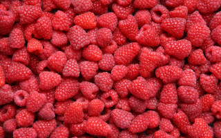 Raspberries water droplets red background 2 - a close up of a bunch free wallpaper