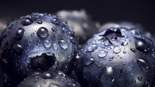 Blueberries water droplets black background - an gyeon free wallpaper for desktop