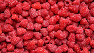 Raspberries red background macro berries - berry free wallpaper