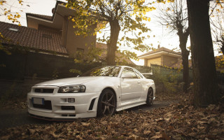 White car fall leaves tilt - the ground and trees free wallpaper