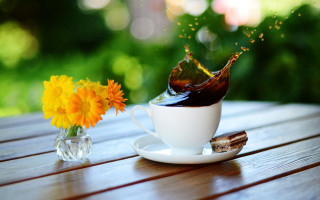 Coffee splash flower vase morning - morning free wallpaper