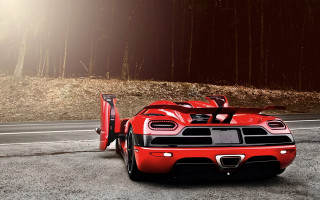Red sports car forest tall - tall tree free wallpaper