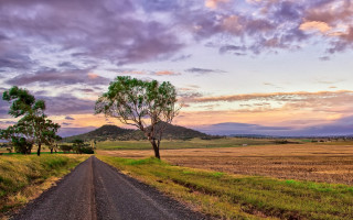 Dirt road tree field mountains - elizabeth durack free wallpaper