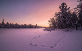 Snowy trail sunset trees landscape - a pink sky free wallpaper