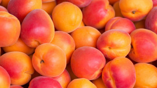 Peach pile table white background - boetius adamsz bolswert free wallpaper