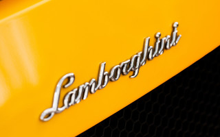 Yellow lamb typography gradient sunset - international typographic style free wallpaper for desktop