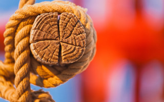 Knot abstract macro depth blurry - the end of it free wallpaper