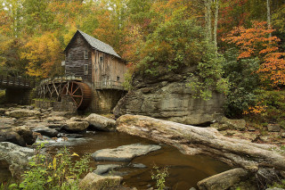 Wooden structure river forest trees - top of a river next free wallpaper