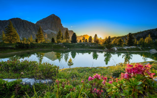 Lake mountains flowers sunset nature - a lake free wallpaper for desktop