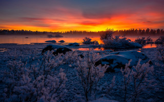 Sunset lake snow trees bushes 2 - a sunset over a lake free wallpaper