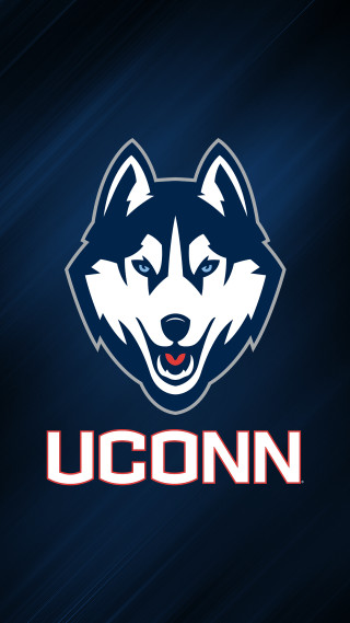 Husky dog uconn face blue - allan brooks free wallpaper
