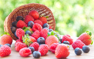 Berry blueberry dessert food closeup - a table outside free wallpaper