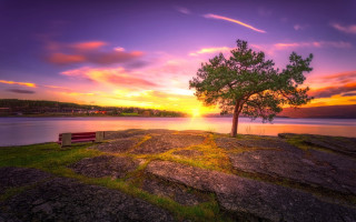 Lone tree rocky cliff lake - a rocky cliff free wallpaper